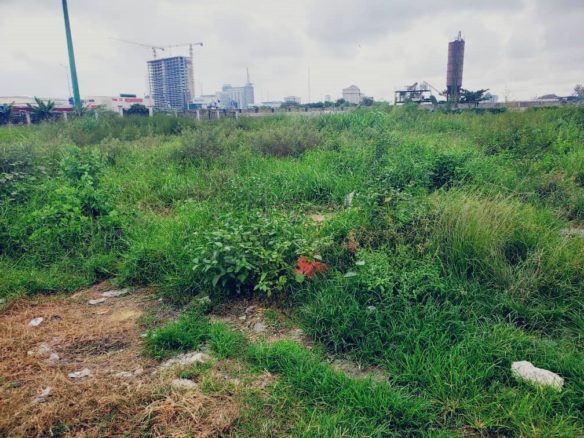 Virgin waterfront land in Lekki Phase 1, Lagos with high-rise approval